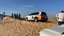 Safari Half-Day Adventure from Abu Dhabi