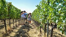 Bocelli Backstage And Wine Day Tour from Florence