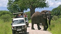 2 Days Amboseli National Park Safari Experience