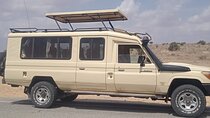 3 Days safari Amboseli & Tsavo West 