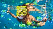 Snorkeling Combo 3 x 1 Lagoon Cenote Reef with Tulum Temples