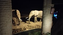 3 Days Safari Amboseli Taita Hills Saltlick Lodge 