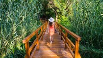 Split: Krka National Park with Boat Cruise and Swimming 