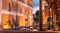 Night Tour in Los Toneles+Dinner The Enemy.Private Transportation
