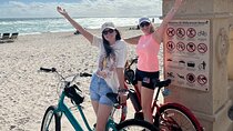 Miami Beach Eden Adventure