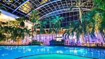 Transfer and Full Access All Day at Therme Spa Bucharest 