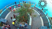 Skywalk and 4x4 Adventure with Amazing Views and Wine Tasting