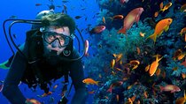 All in One intro Diving & Snorkeling & Water Sport -Hurghada