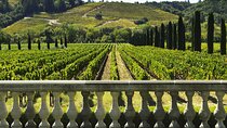 Private Half Day Txakoli Wine Tour & Getaria Fishing Village