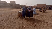 Camel Ride Experience in Agafay Desert
