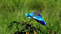 Private Taj Mahal and Bird watching Tours 2 Night 3 days