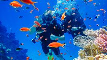 Exciteful Scuba Diving Experience in Antalya