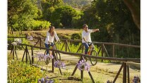 Casablanca Wine Tour