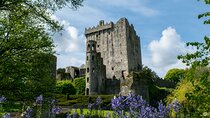 Your Irish Tour Blarney and Cork Private Day Tour 