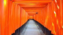 Kyoto, Osaka, Nara Full Day tour by Car English speaking Driver