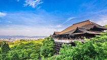 Kyoto 8hr Tour from Osaka: English speaking Driver, No Guide
