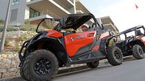 Korcula Island Private Buggy Beach Hunting Safari with lunch