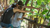 Half Day Private Tour to Botanical Garden in Chania