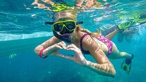 Best of Phi Phi Islands Snorkeling Tour from Phuket