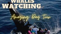 Whales Watching Mirissa Day Tour