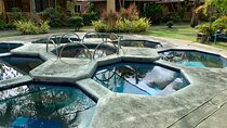 Hotspring and Tagaytay Tour from Manila