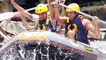 Half Day White Water Rafting Ayung River with Lunch