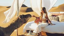 4 Day Morocco Desert Tour from Marrakech to Fes