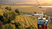 Wine Private Tour in Santa Cruz Vineyard