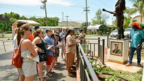 Kingston Day Tour