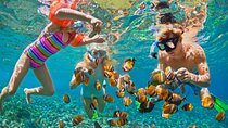 Hurghada Paradise Conquest Semi Submarine Snorkeling Trip