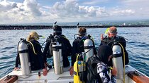Hilo's Remote Tropical Reef 2 Tank Boat Dive
