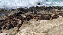 La Jolla Jig Scavenger Hunt 