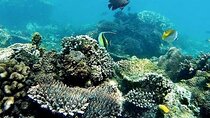 ATV Quad Ride and Blue Lagoon Snorkeling
