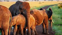 5 days Aberdare lake Nakuru and Masai Mara safari from Nairobi