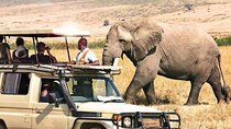 3 Days Samburu National Park private safari all inclusive