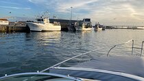 Private Tour in Ria de Aveiro in a 26 Feet Yacht