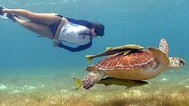 Tulum Ruins & Snorkeling with Sea Turtles Private Tour