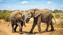 10 Days Tanzania Safari Private Tour