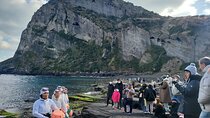 Jeju Island Bus Tour Or Taxi Tour in the East of Jeju island 
