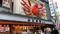 Osaka City Highlights Walking Tour!