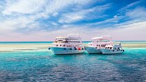 Ras Mohamed Boat Trip & White Island
