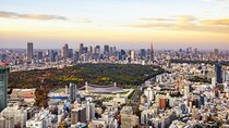 Tokyo Layover Tour with Licensed Guide & Vehicle: NRT Airport Dep