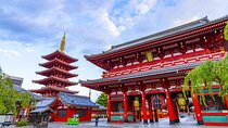 Tokyo Layover Tour English Speaking Driver only : NRT Airport Dep