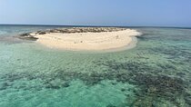 Full-Day Snorkeling Sea Trip to Hamata and Qulaan Islands