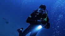 Belek Scuba Diving Experience (2 Dives) With Lunch 