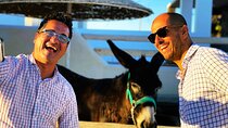 Private Unseen Authentic Santorini Half Day Shore Excursion