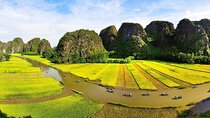 Private Ninh Binh Full Day (Bich Dong -Tam coc -Mua cave- Biking)
