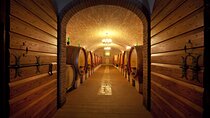 Amarone Wine Tasting from Verona