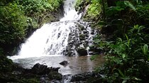 Hiking Experience in El Quetzal Private Reserve