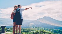 Full Day Private Guided Tour to Bali